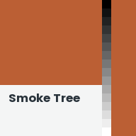 Color chip: Smoke Tree