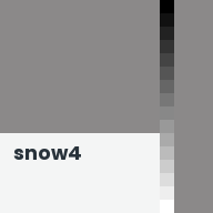 Color chip: snow4