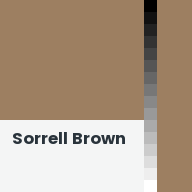 Color chip: Sorrell Brown