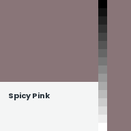 Color chip: Spicy Pink