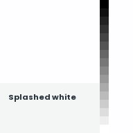 Color chip: Splashed white