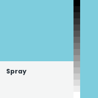 Color chip: Spray