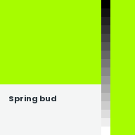 Color chip: Spring bud