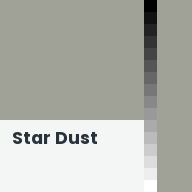 Color chip: Star Dust