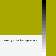 Color chip: Strong olive (Bang-v3 144)