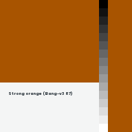 Color chip: Strong orange (Bang-v3 87)