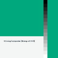 Color chip: Strong turquoise (Bang-v3 341)