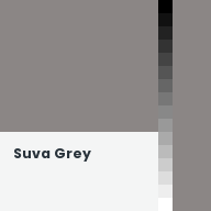 Color chip: Suva Grey