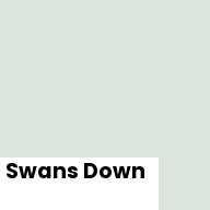 Color chip: Swans Down