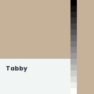 Color chip: Tabby