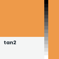 Color chip: tan2