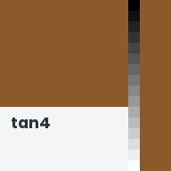Color chip: tan4