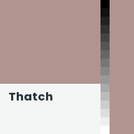 Color chip: Thatch