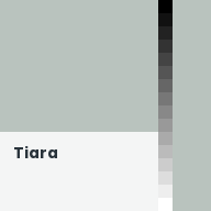 Color chip: Tiara