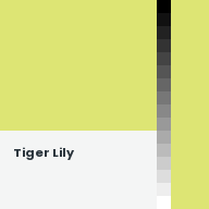 Color chip: Tiger Lily