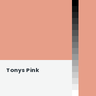 Color chip: Tonys Pink