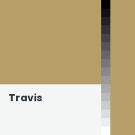 Color chip: Travis