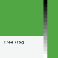 Color chip: Tree Frog