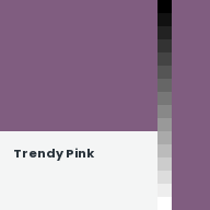 Color chip: Trendy Pink