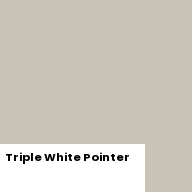 Color chip: Triple White Pointer