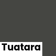 Color chip: Tuatara