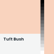 Color chip: Tuft Bush