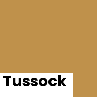 Color chip: Tussock