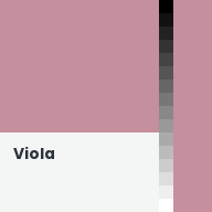 Color chip: Viola