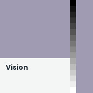 Color chip: Vision