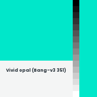 Color chip: Vivid opal (Bang-v3 351)
