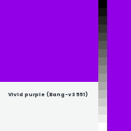 Color chip: Vivid purple (Bang-v3 551)