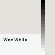 Color chip: Wan White