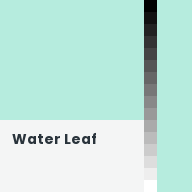 Color chip: Water Leaf