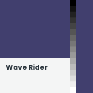 Color chip: Wave Rider