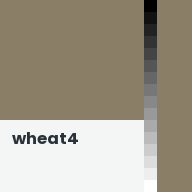 Color chip: wheat4