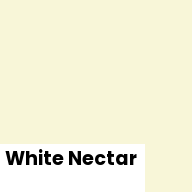 Color chip: White Nectar