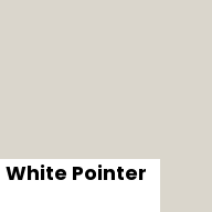 Color chip: White Pointer