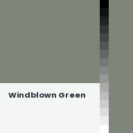 Color chip: Windblown Green