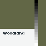 Color chip: Woodland