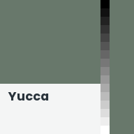 Color chip: Yucca
